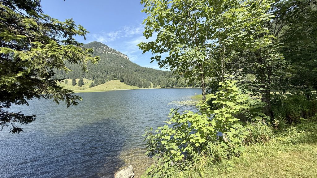 arabella-alpenhotel-see-ausblick