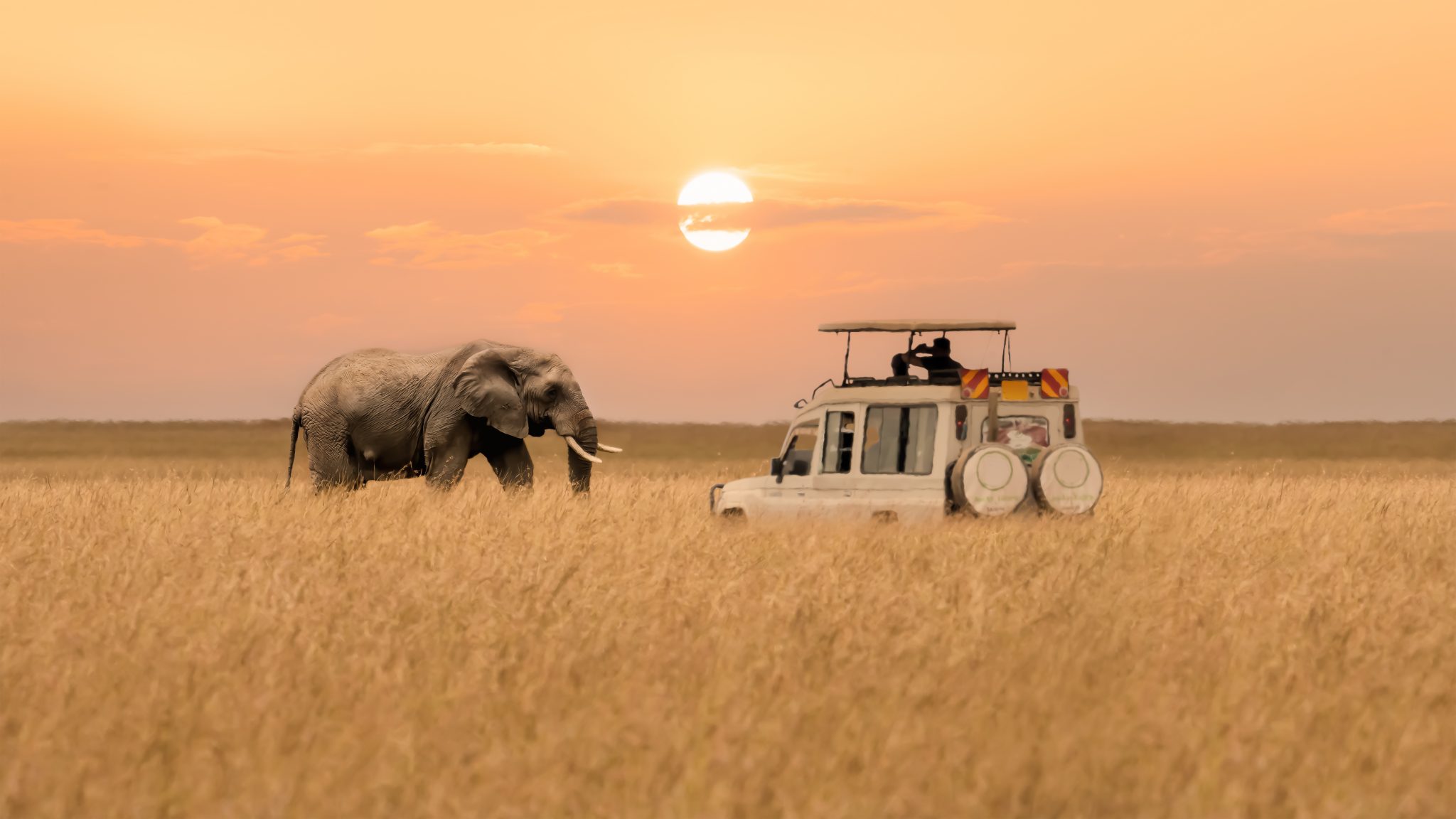 Savannenlandschaft mit Wildtieren in Kenia