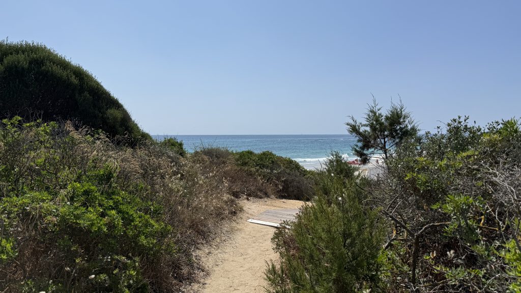 0C3C5557 AF73 4E82 AC27 850E455CD138