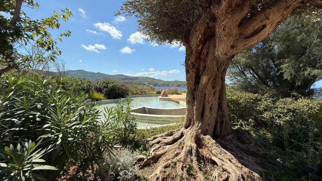 Six Senses Ibiza Spa Ausblick