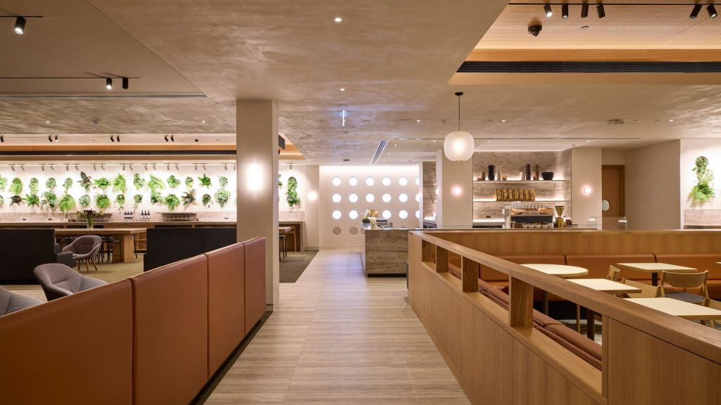 Qantas Auckland International Lounge (1)