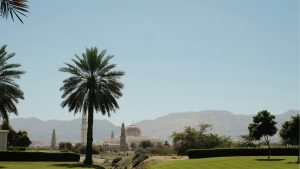 Maskat Austin Curtis