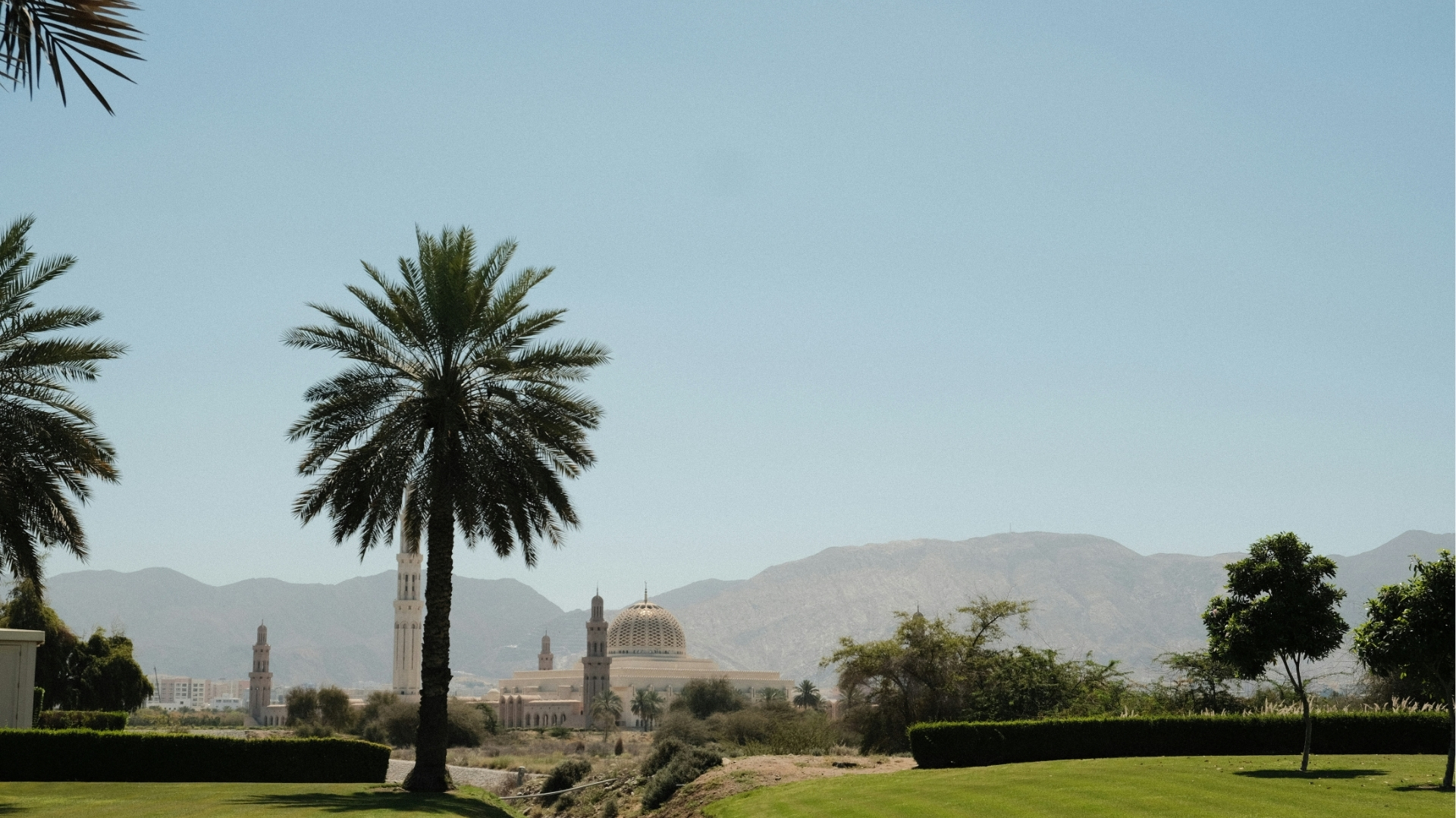 Maskat Austin Curtis 