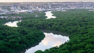 Recife Thiago Japyassu