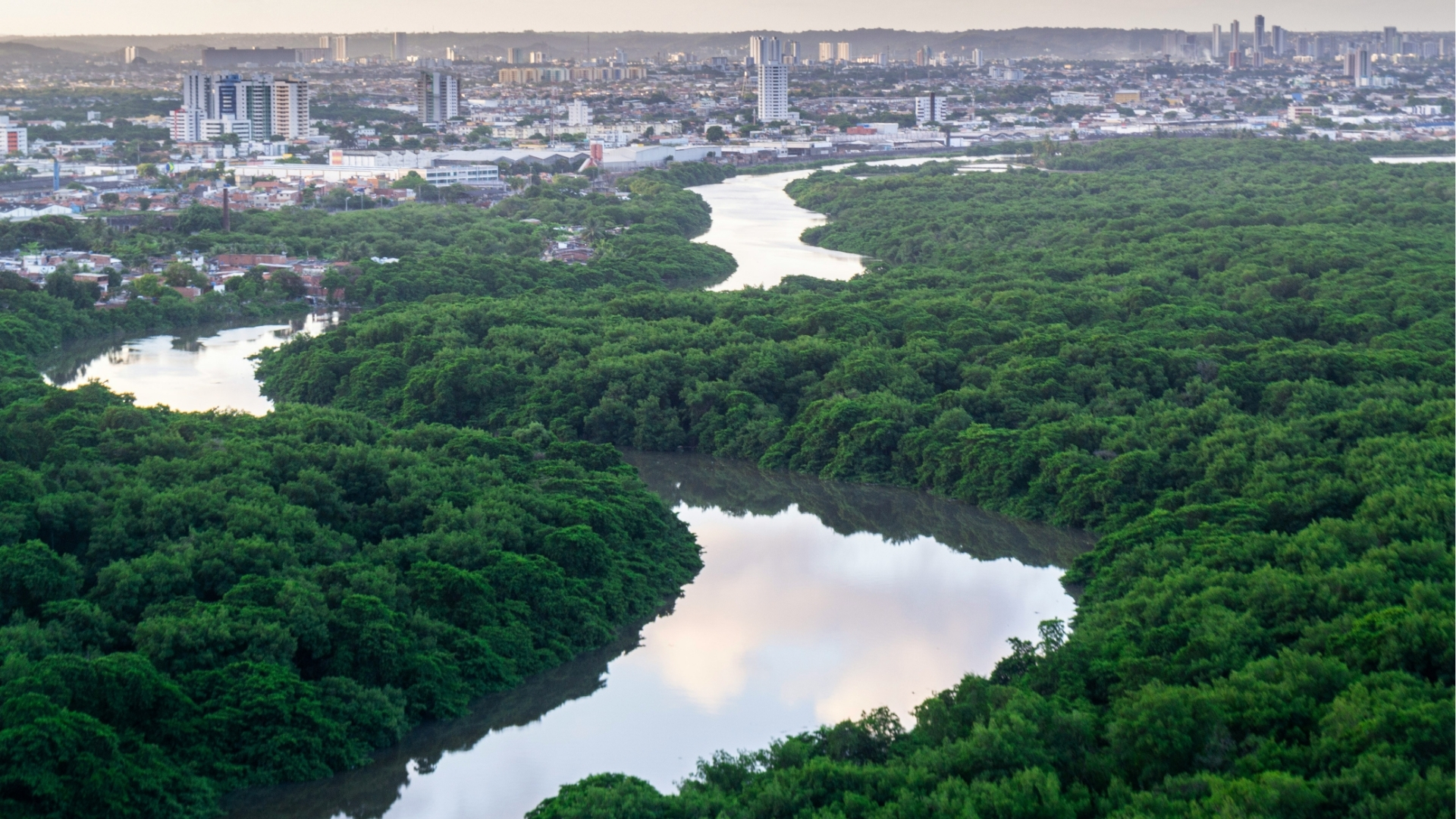 Recife Thiago Japyassu
