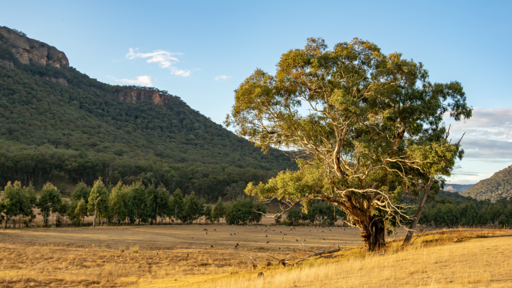 Wolgan Valley Australien