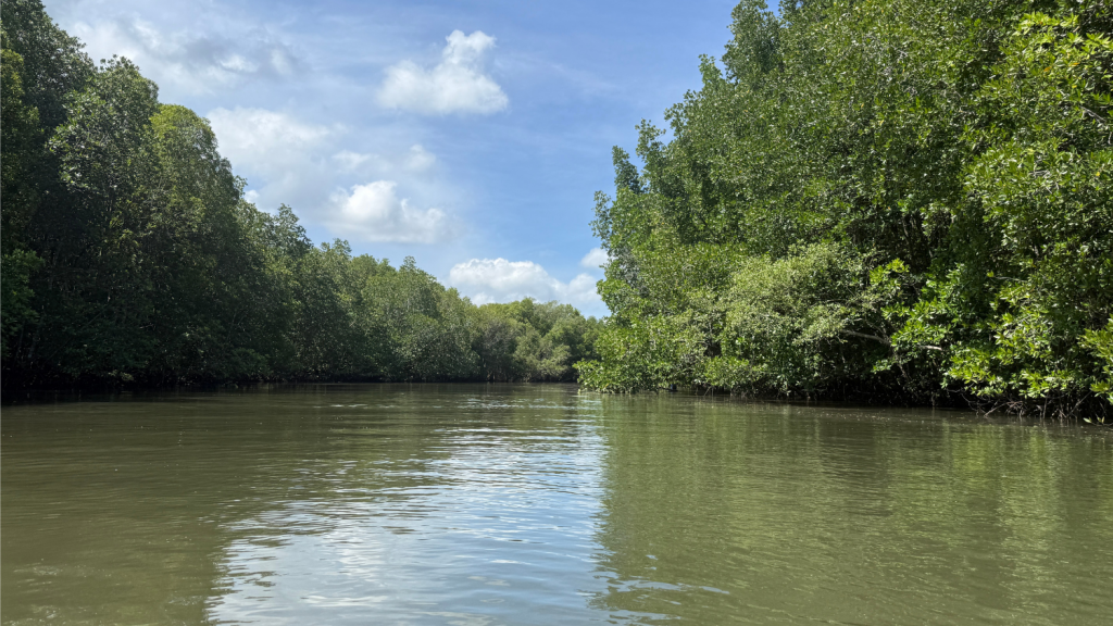 Four Seasons Resort Langkawi Kayak