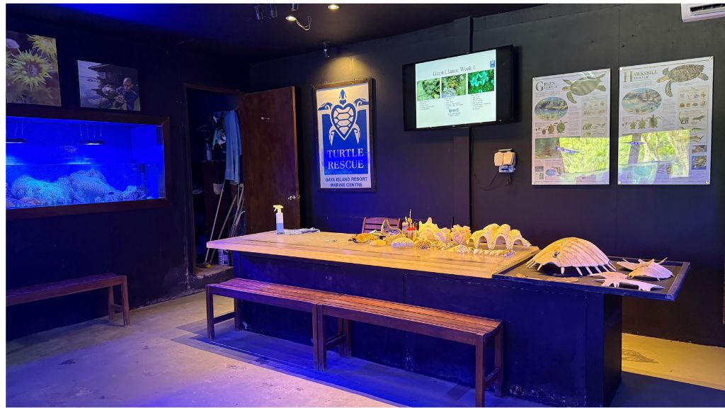 Gaya Island Resort Kota Kinabalu Schildkroeten Rettung