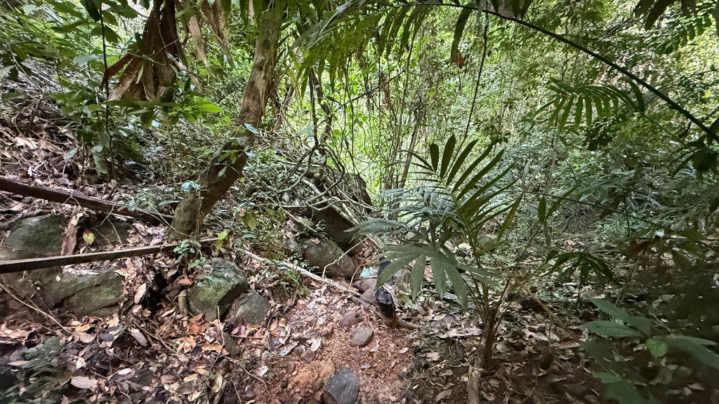 Gaya Island Resort Kota Naturtrail (1)