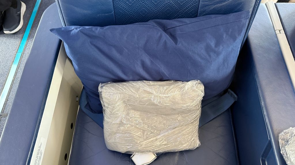 Malaysia Airlines Business Class Kissen
