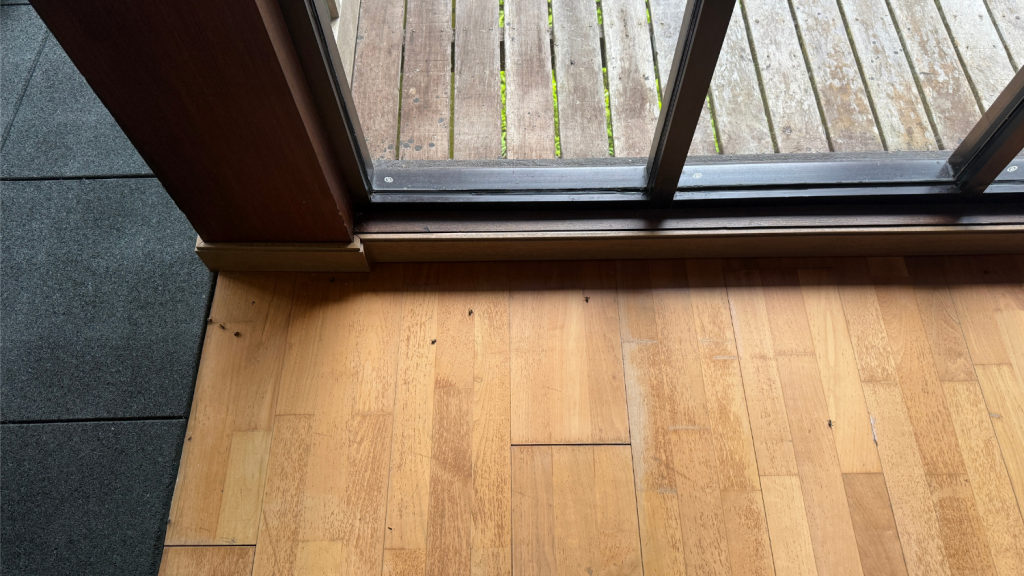 Mulu Marriott Resort Sauberkeit