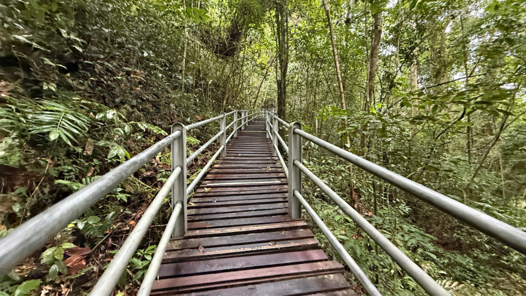 Mulu Marriott Resort Wanderung (1)