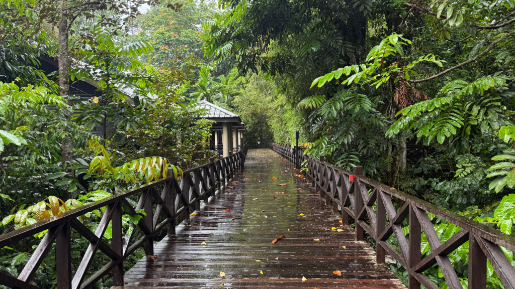 Mulu Marriott Resort Wege