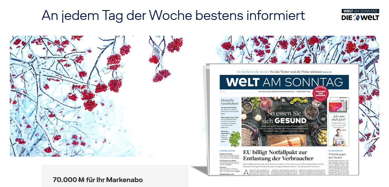 WELT Markenabo Deal Feb 2026 Miles More