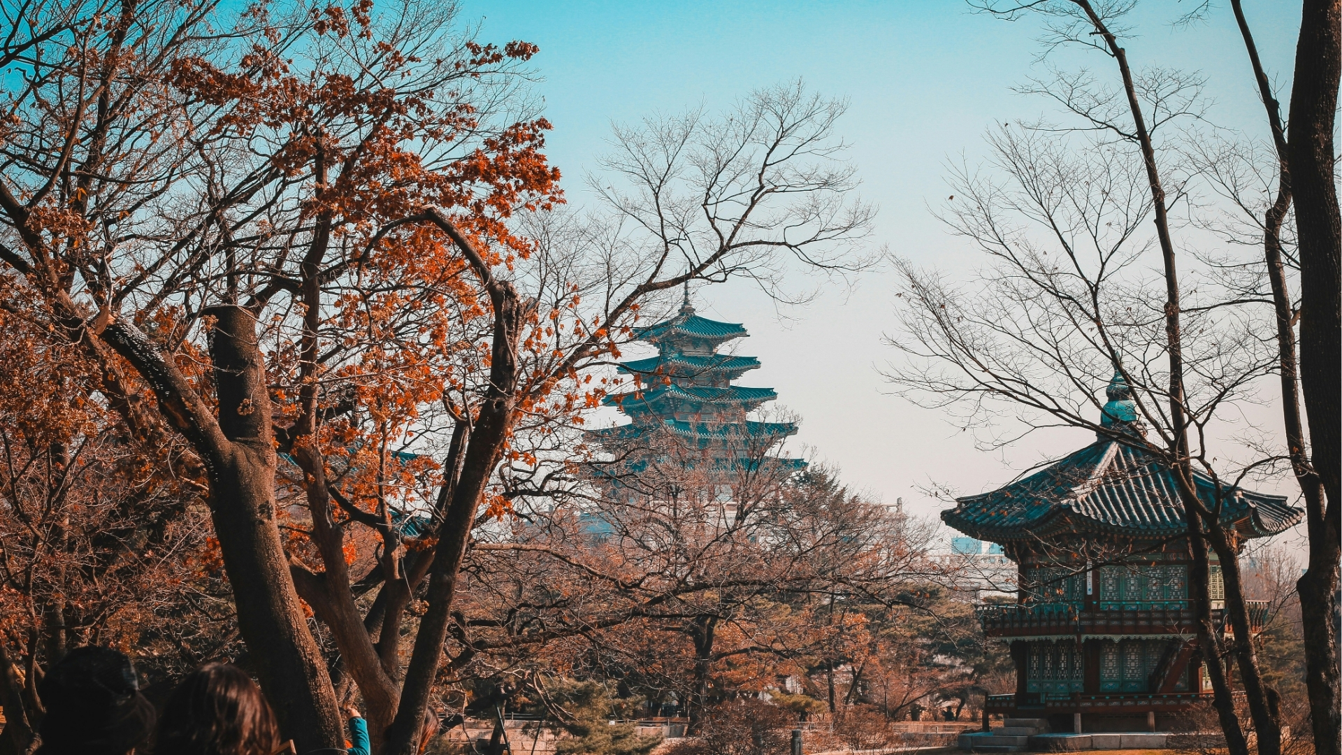 Seoul Louie Nicolo Nimor