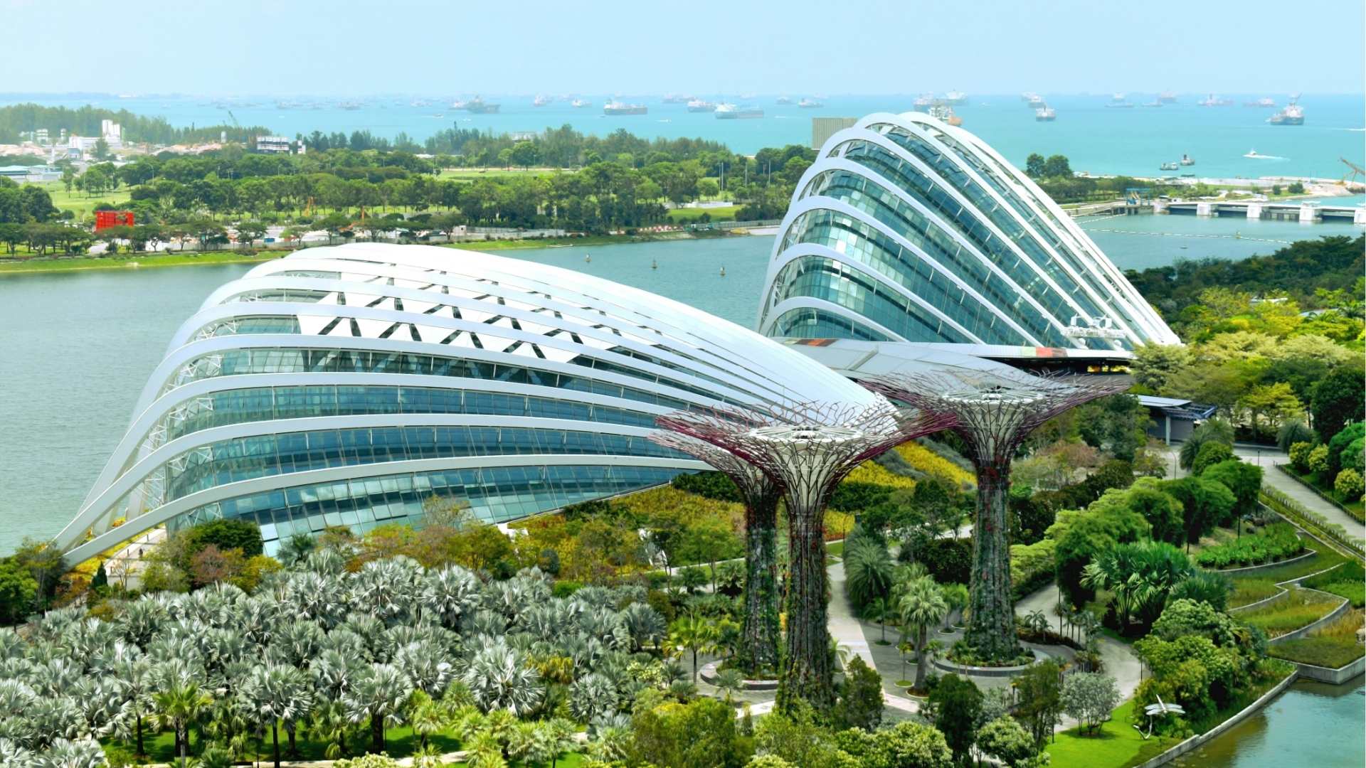 Singapur Wallace Heng