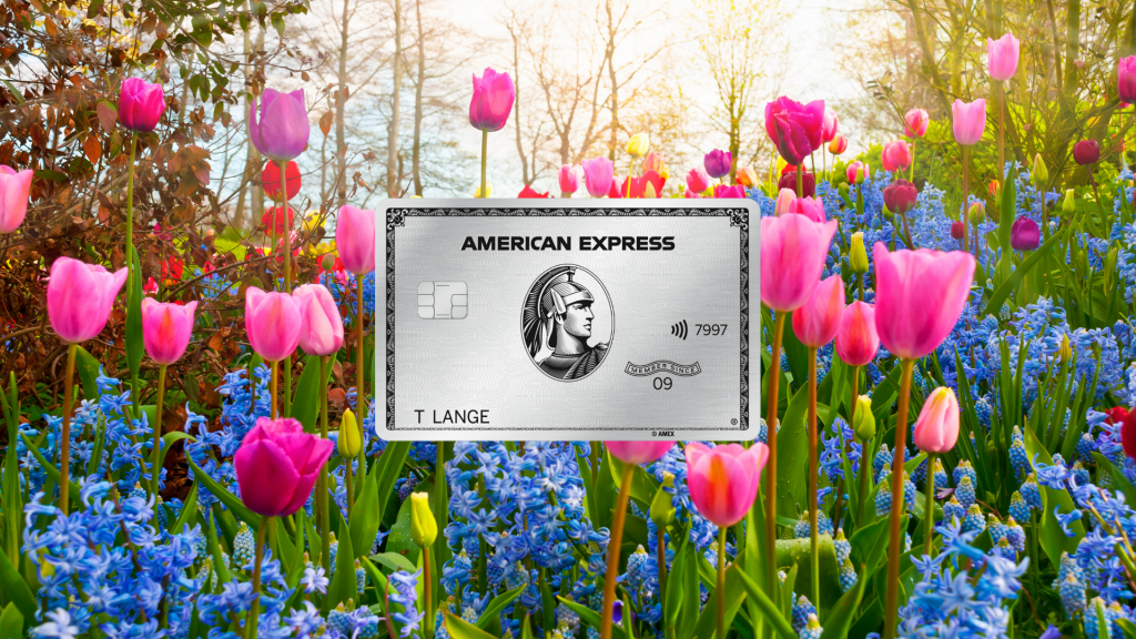 Amex Platinum Willkommensbonus - Fruehlingsaktion