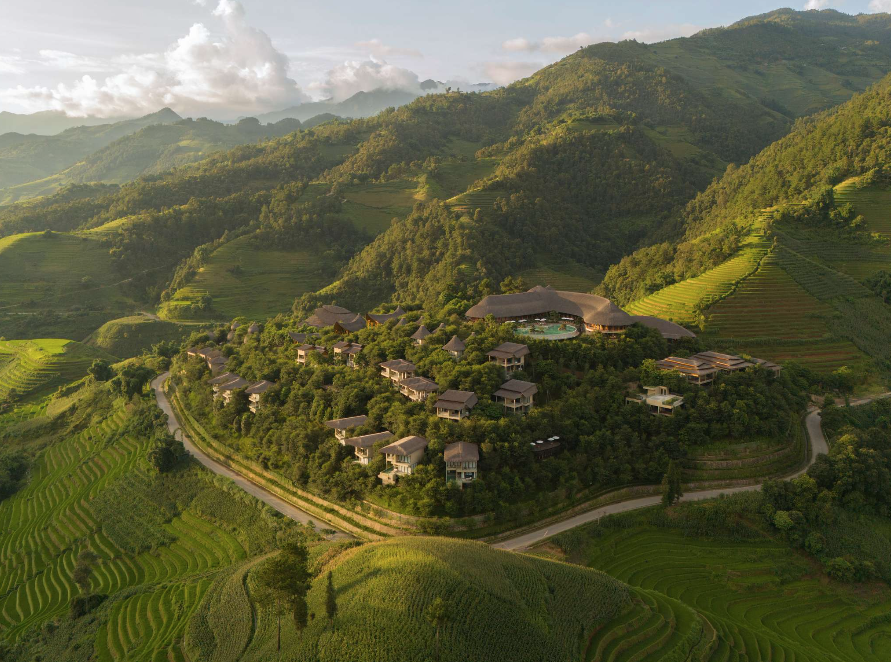 Garrya Mu Cang Chai