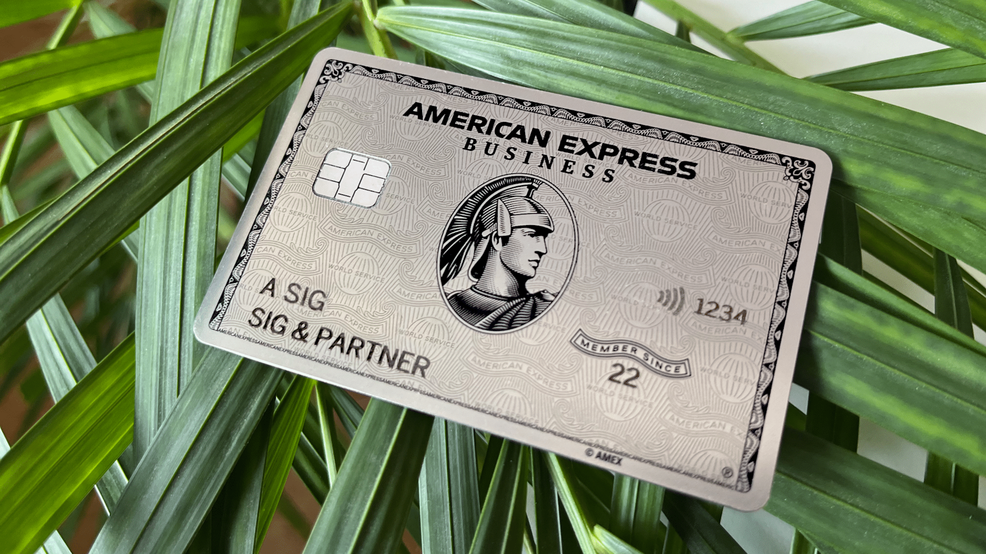 Amex Business Platinum Leaf Genderneutral