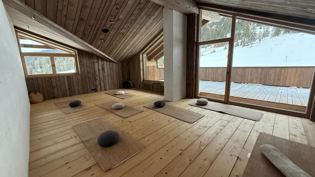 Eriro Alpine Hide Yogamatten