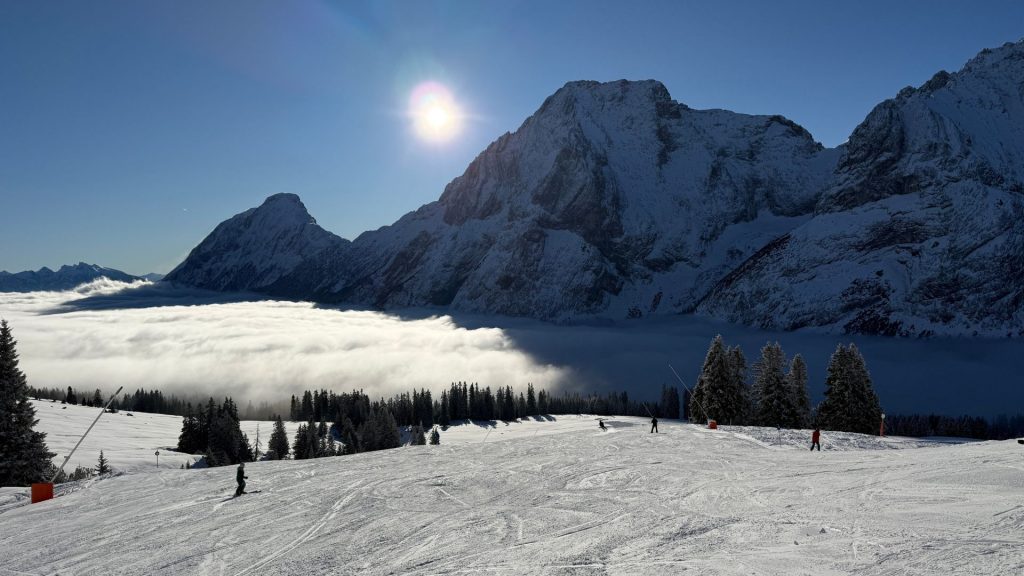 Eriro Alpine Hide Skipiste 4