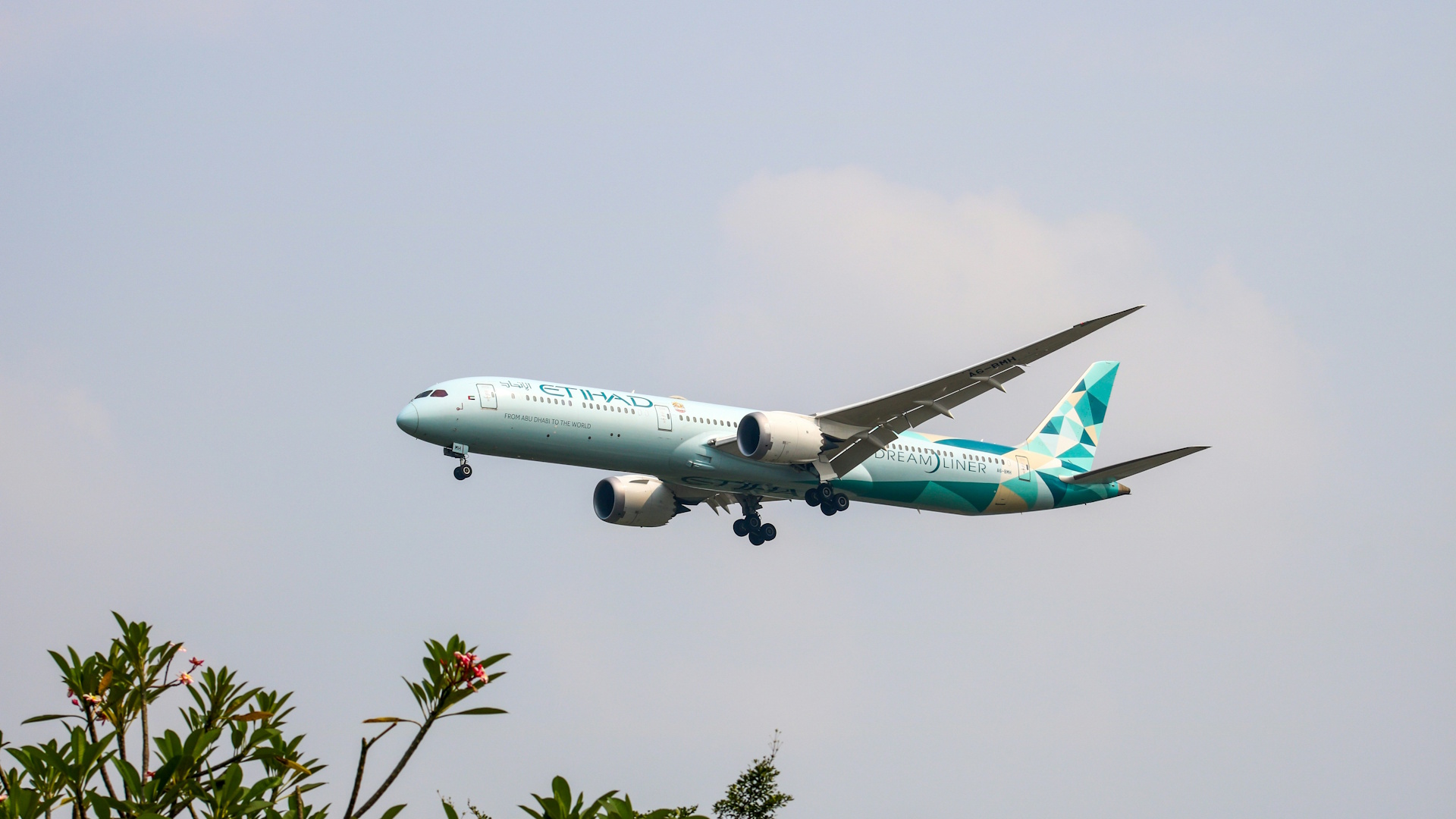 Etihad Airways Boeing 787 9 Dreamliner Flug