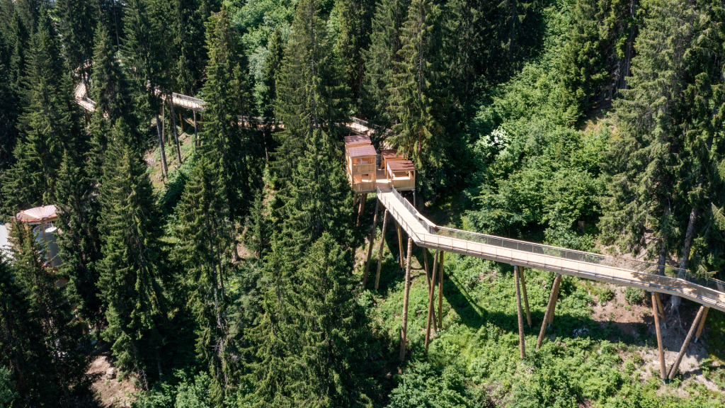 LAAX Sommer Baumwipfelpfad