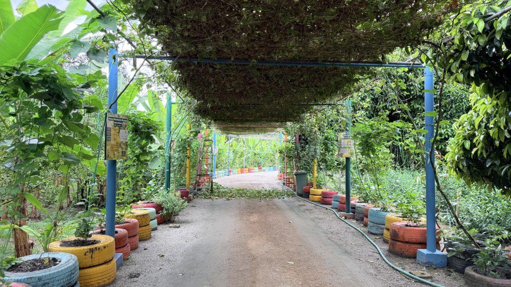 Mandarin Oriental Desaru Coast Fruit Farm