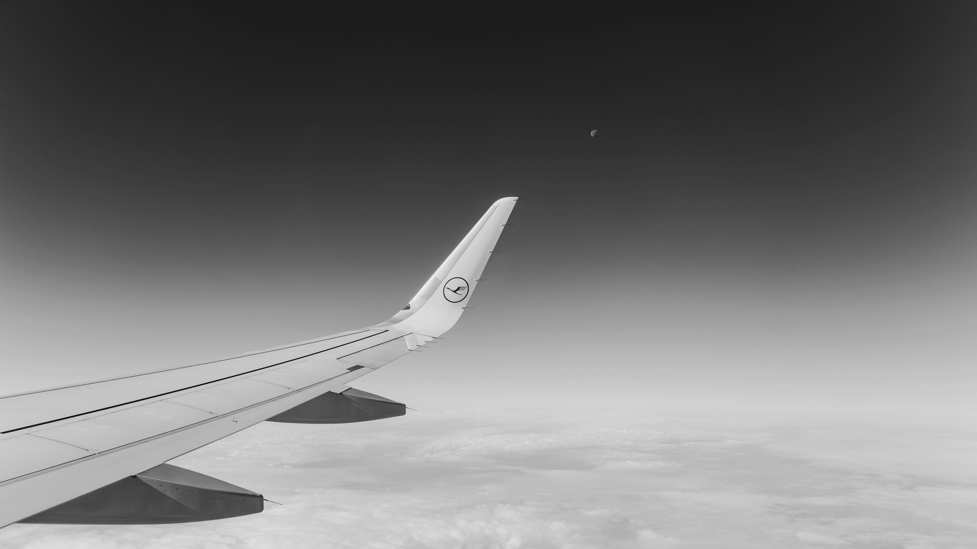 Lufthansa Fluegel Schwarz Weiss Black White