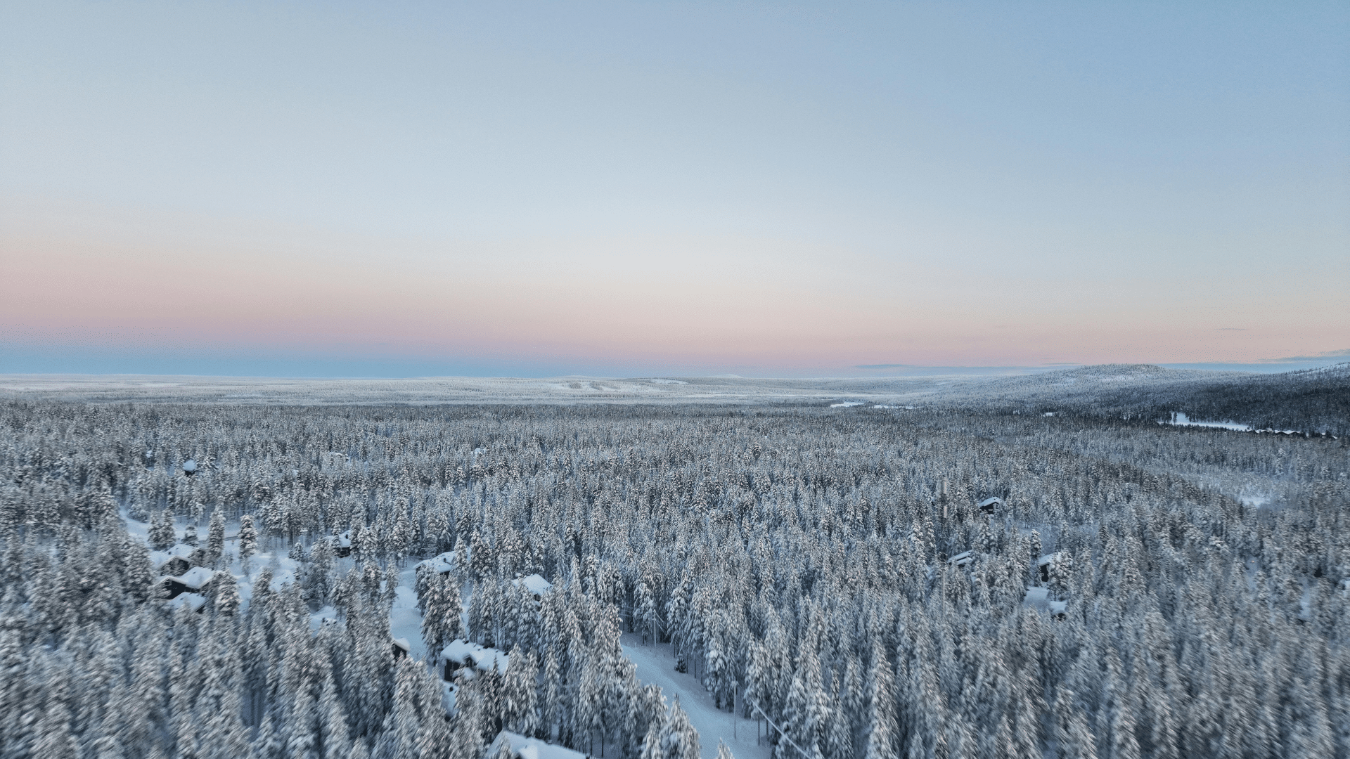 Finnland Wald