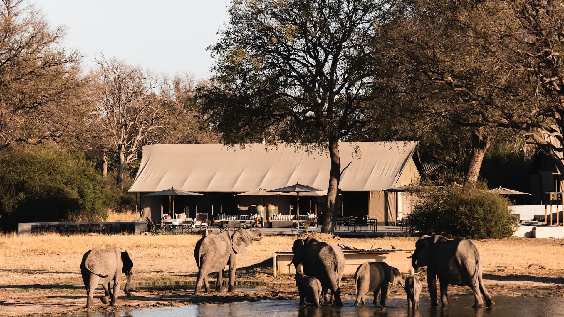 Wilderness Linkwasha 1