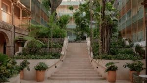 Bepflanzter Innenhof mit breiter Steintreppe und gruenen Fensterlaeden
